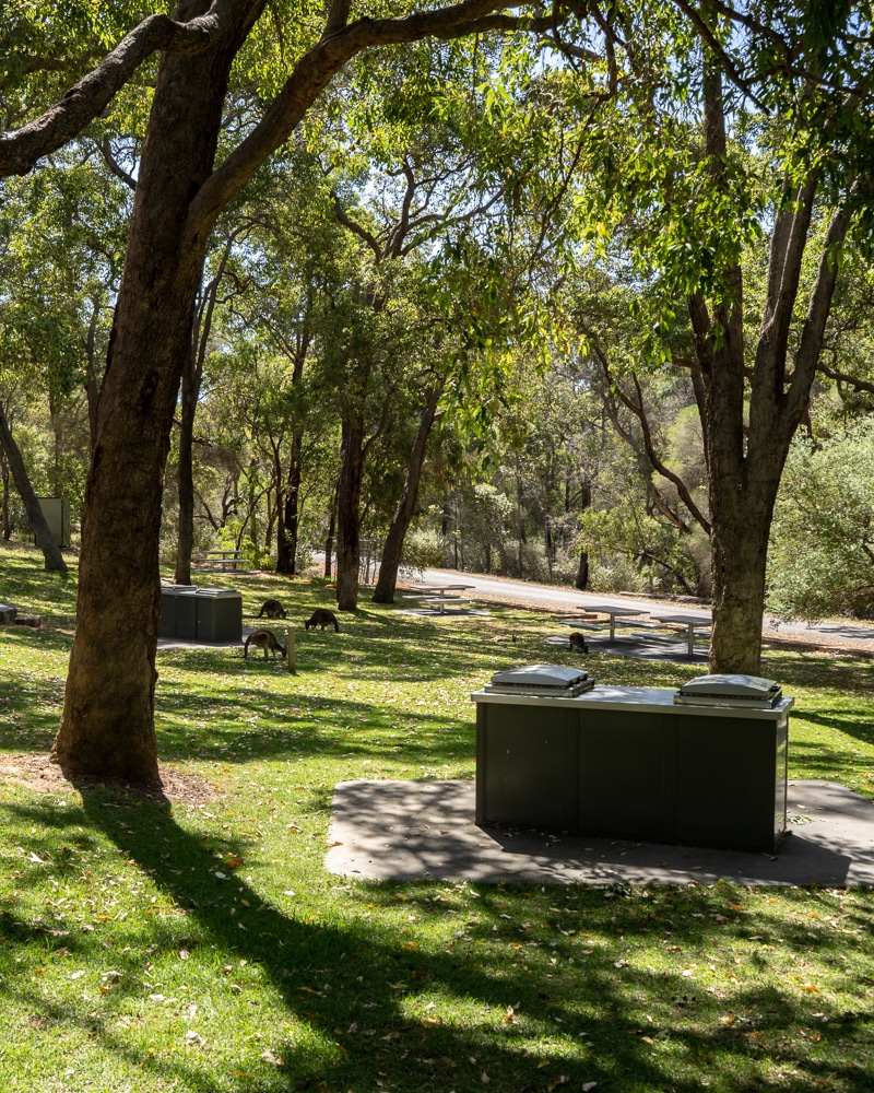 The Best Picnic Spots in Perth 10 Great Spots for a Scenic Perth Picnic