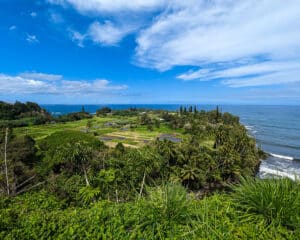 31 Best Road to Hana Stops - Complete Guide and Itinerary (2025)